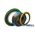 Asse Standard Spiral Wound Gasket of Sunwell